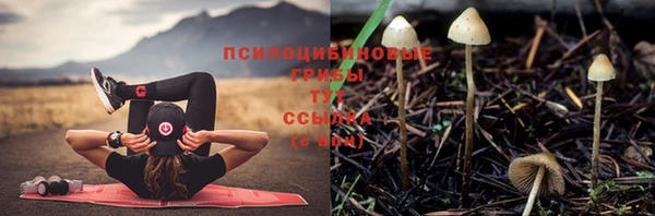 дурь Богданович